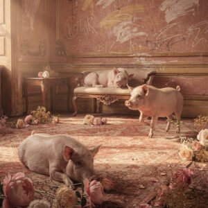 Trois cochons dans un salon ancien avec canapé, tapis et fleurs au sol, murs patinés avec graffiti en arrière-plan.