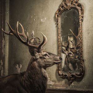 Affiche cerf avec couronne regardant son reflet dans un miroir ancien style baroque vintage
