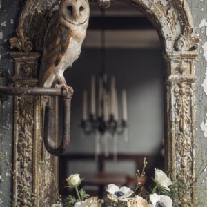 Affiche montrant un hibou posé devant un miroir ancien avec cadre doré et des fleurs blanches au premier plan.