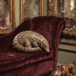 Affiche représentant un pangolin enroulé sur un fauteuil en velours rouge avec miroirs anciens et fleurs séchées.