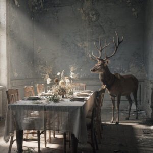 Cerf debout dans une pièce abandonnée à côté d’une table dressée avec fleurs séchées et lumière entrant par une fenêtre.