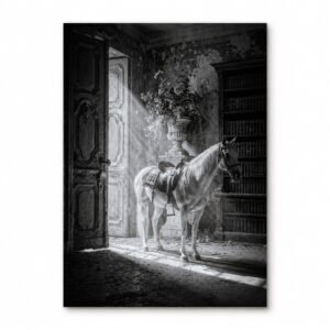 Affiche en noir et blanc montrant un cheval blanc dans une bibliothèque ancienne éclairée par un rayon de lumière venant d’une porte entrouverte.
