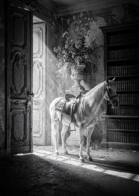 Affiche en noir et blanc avec un cheval blanc sellé dans une bibliothèque ancienne, éclairé par la lumière d’une porte entrouverte.