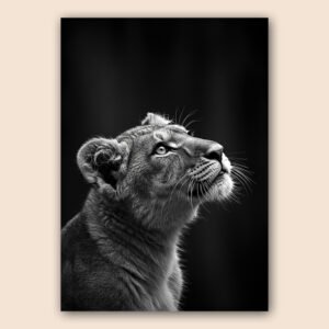 Portrait noir et blanc d’une lionne en gros plan, regard tourné vers le haut, sur fond noir.
