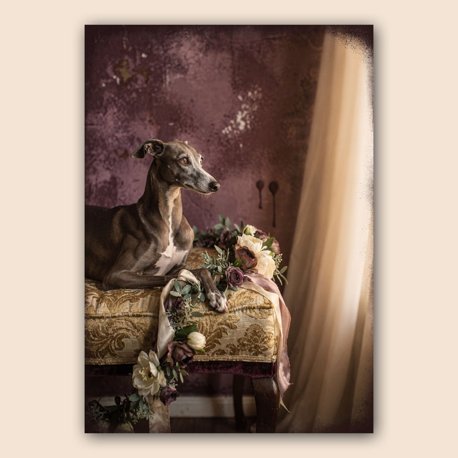 Affiche avec lévrier gris allongé sur une banquette vintage, fleurs délicates, mur prune et rideau clair.