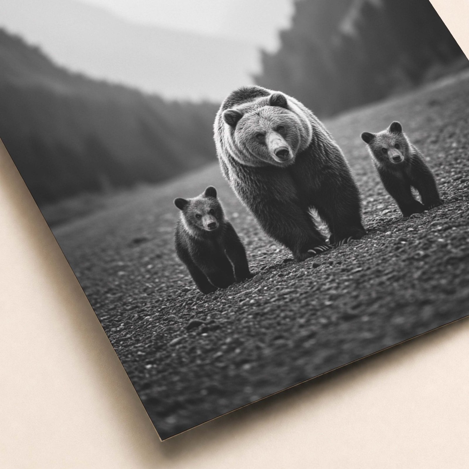 Affiche d'un ours et ses petits en noir et blanc