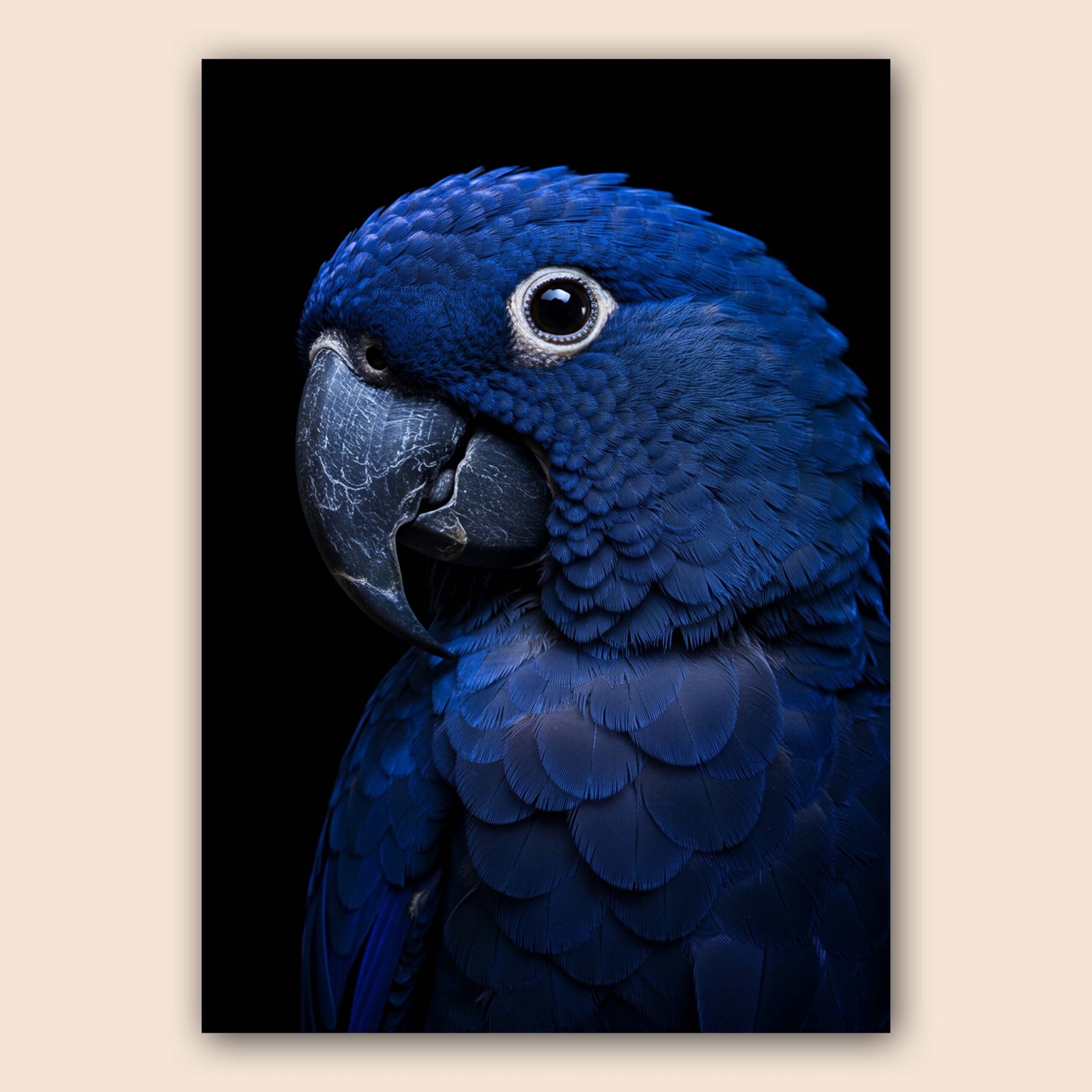 Affiche d'un perroquet bleu sur fond noir