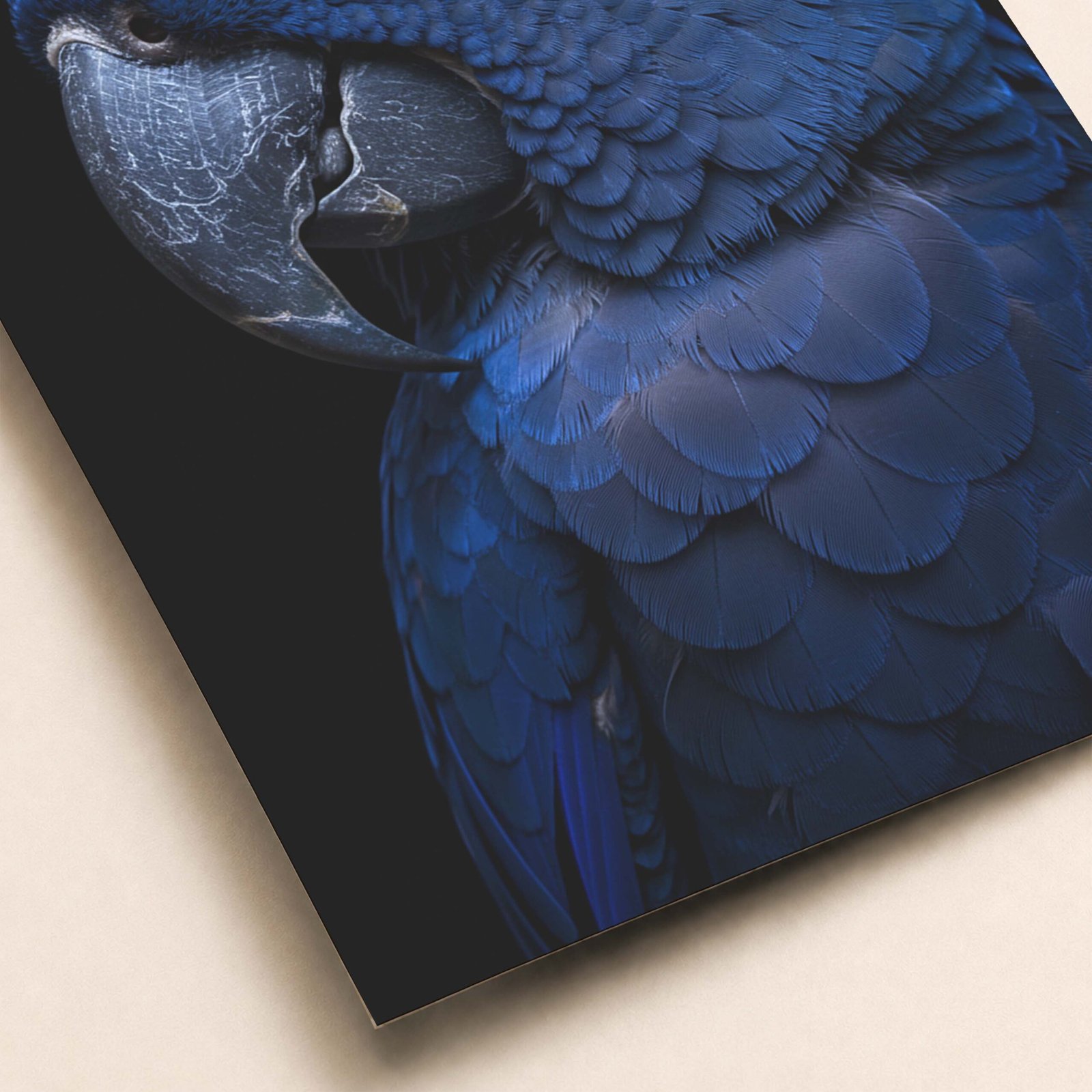 Affiche d'un perroquet bleu sur fond noir
