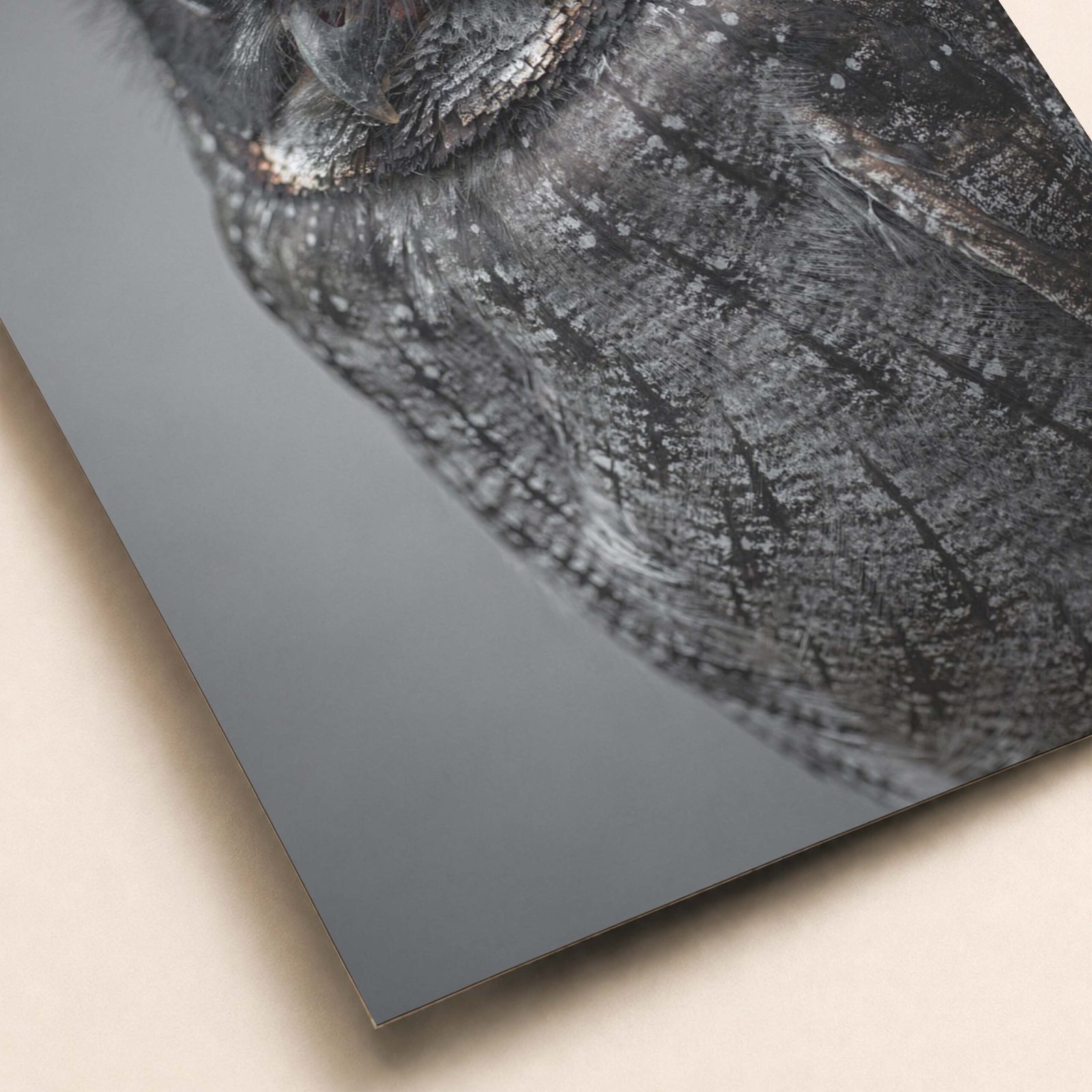 Détail d'une affiche de hibou