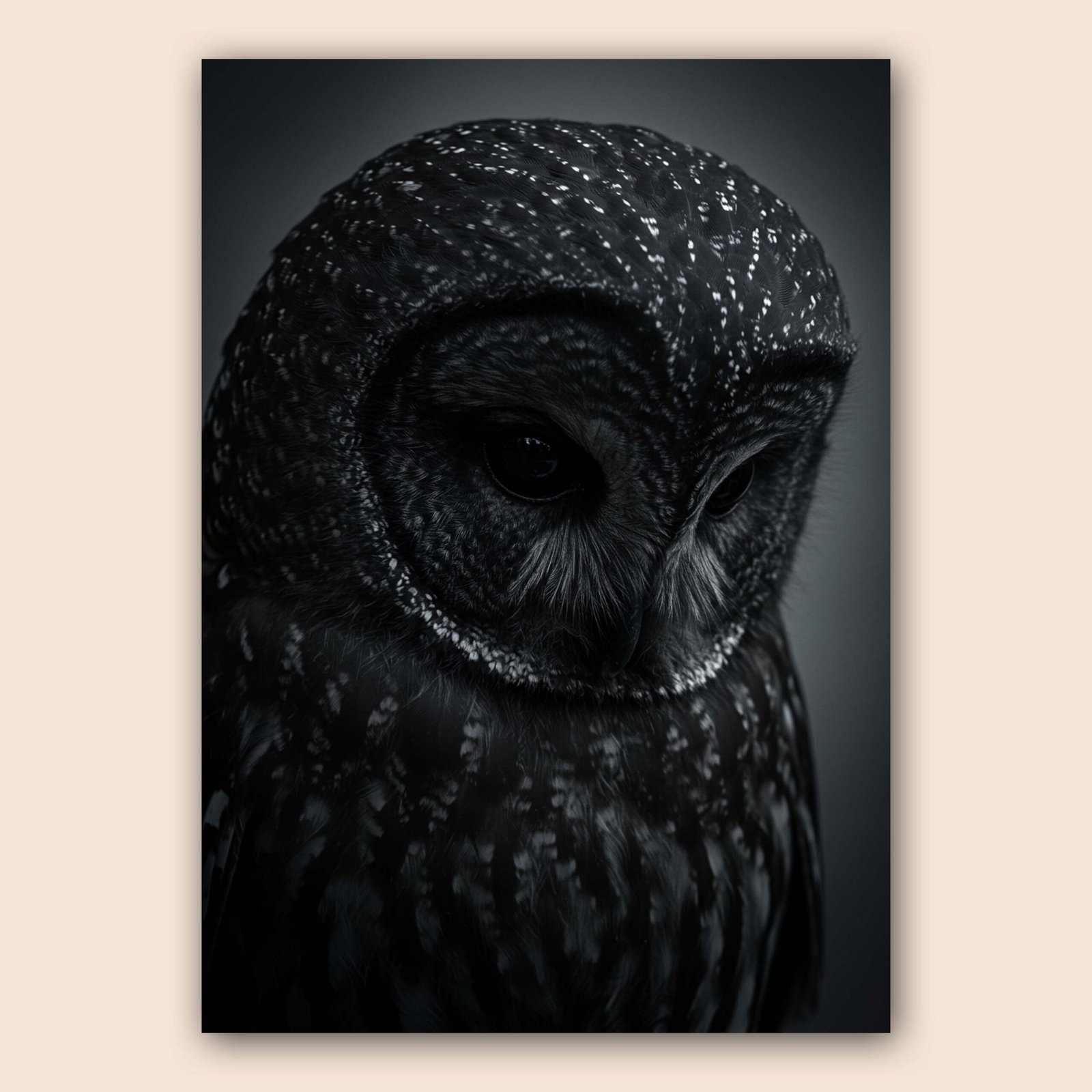 Affiche d'un hibou sur fond sombre