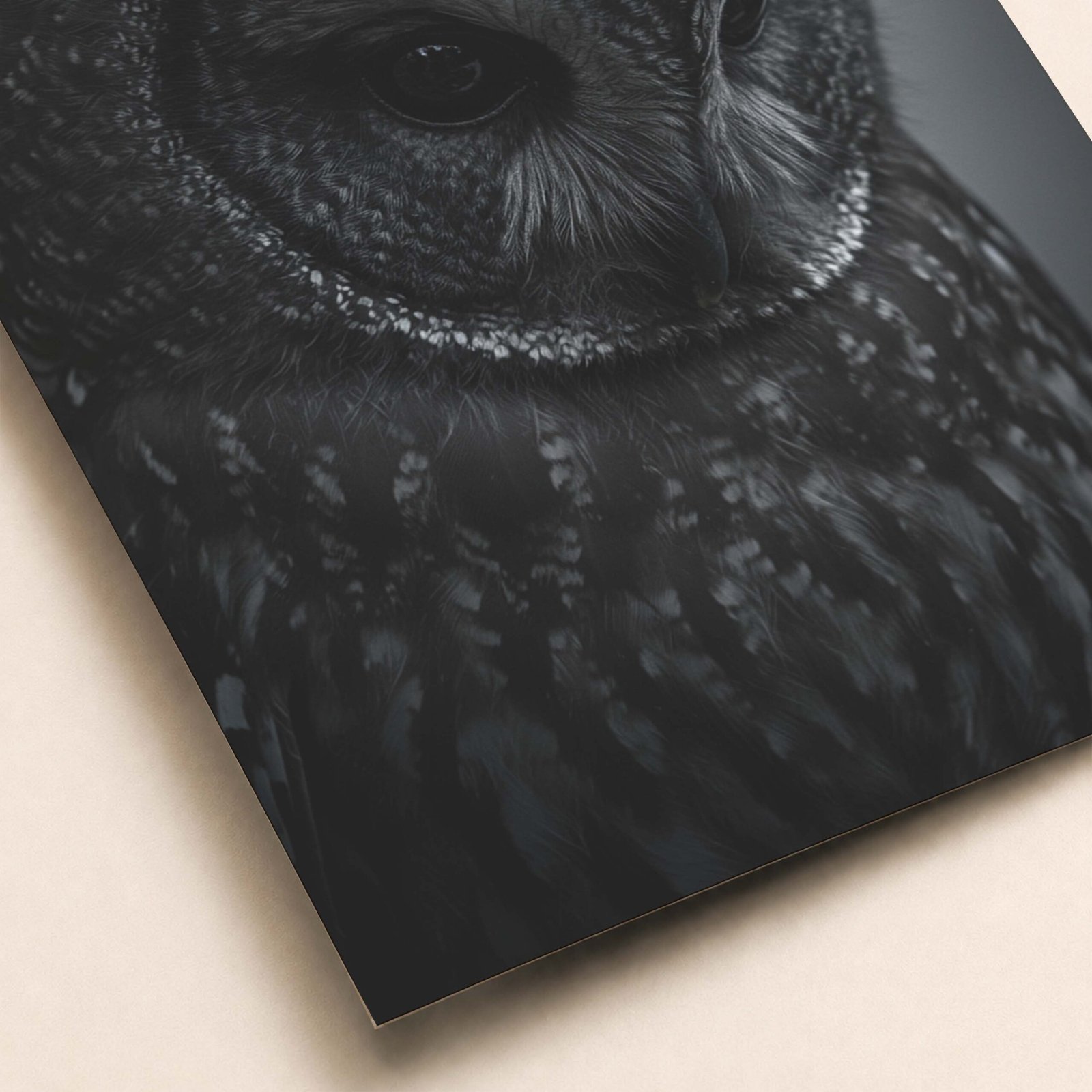 Affiche d'un hibou sur fond sombre