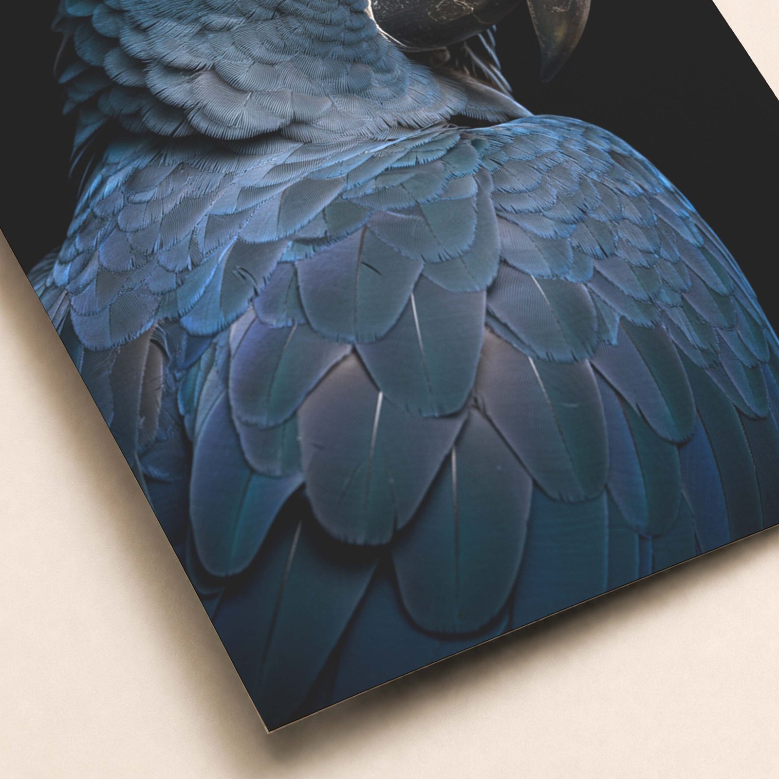 Affiche d'un perroquet bleu sur fond noir