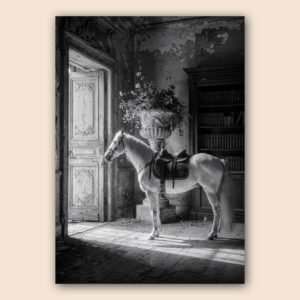 Affiche d'un cheval dans un décor ancien en noir et blanc