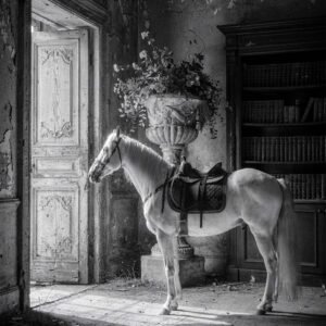 Affiche d'un cheval dans un décor ancien en noir et blanc