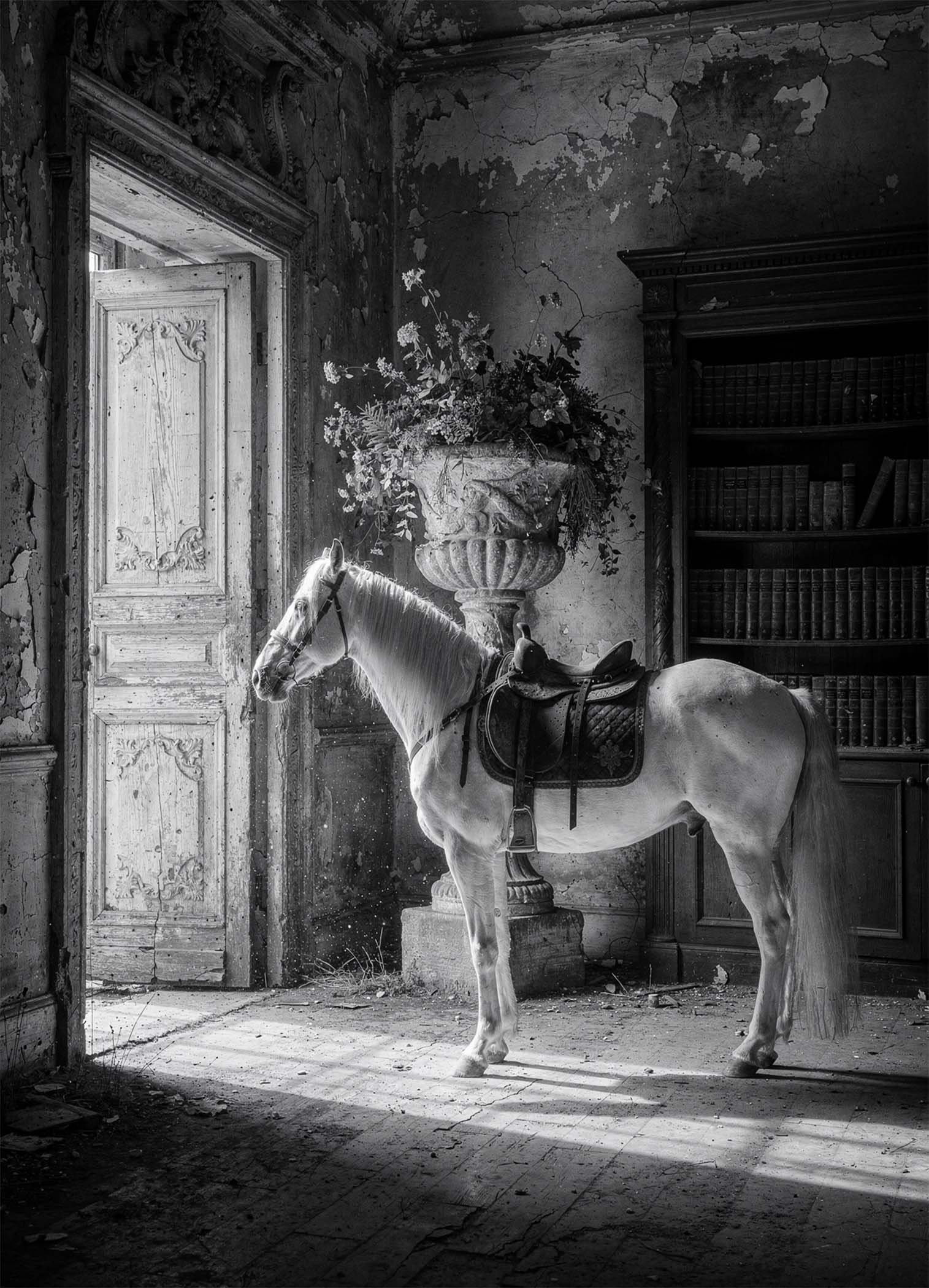 Affiche d'un cheval dans un décor ancien en noir et blanc