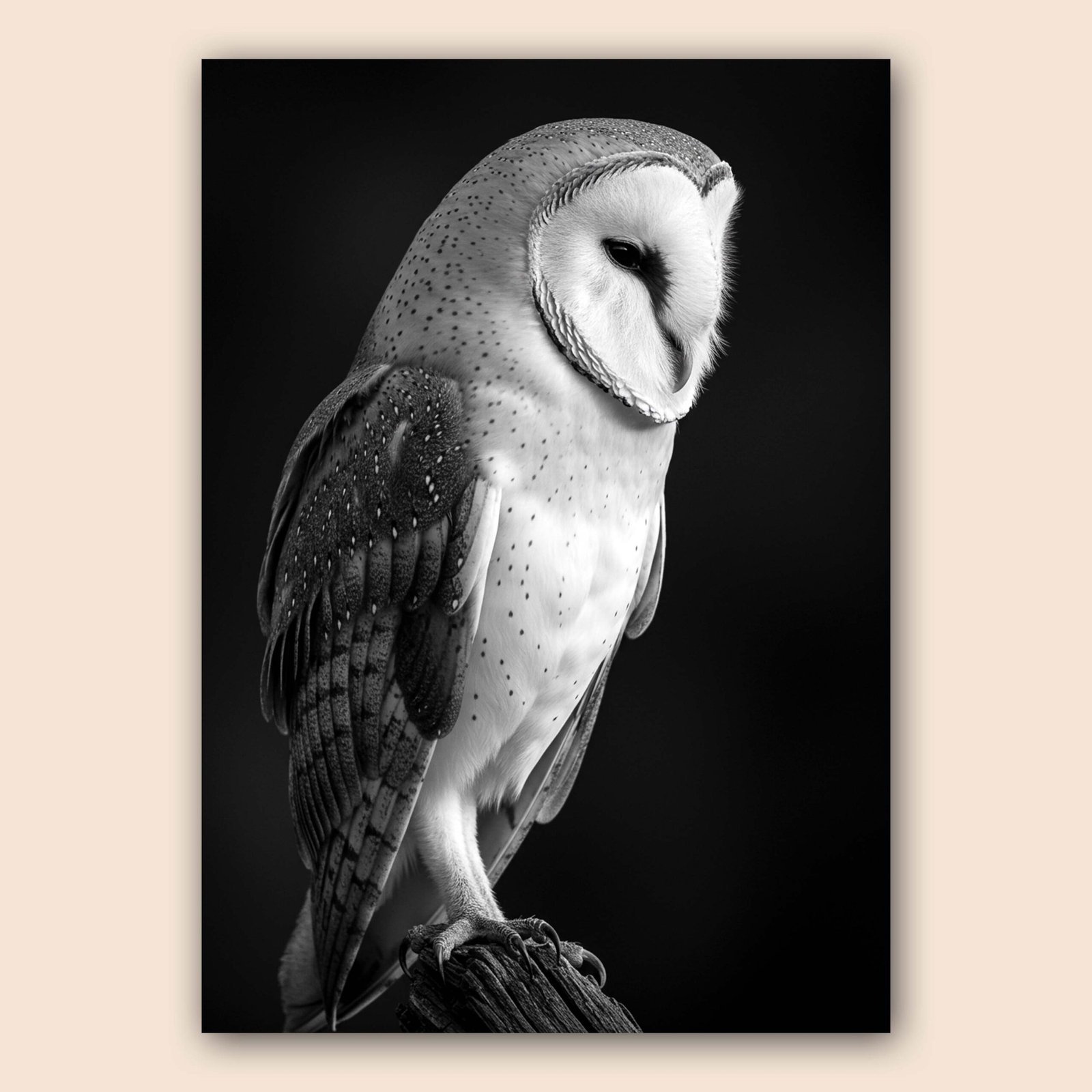 Hibou en noir et blanc