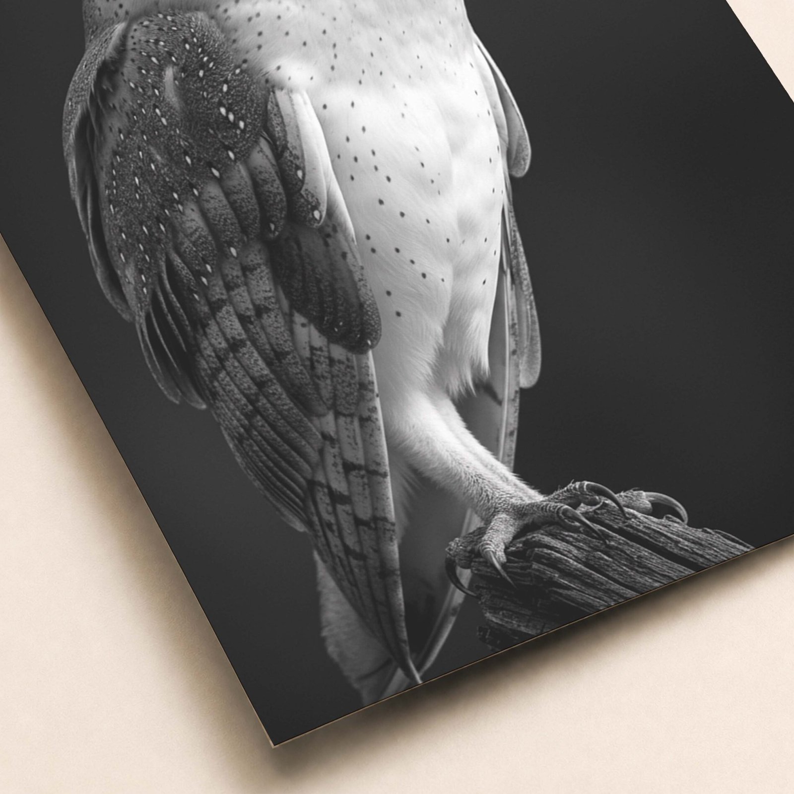 Hibou en noir et blanc