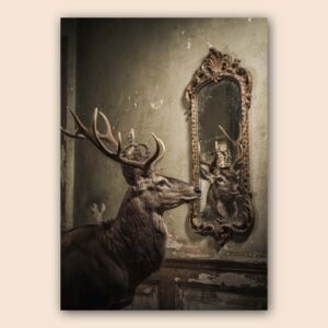 Affiche vintage d'un cerf avec un miroir