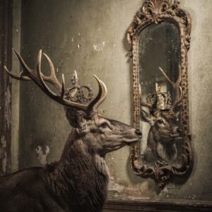 Affiche d'un cerf majestueux devant un miroir ancien