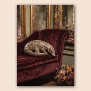 Affiche d'un pangolin sur un canapé en velours