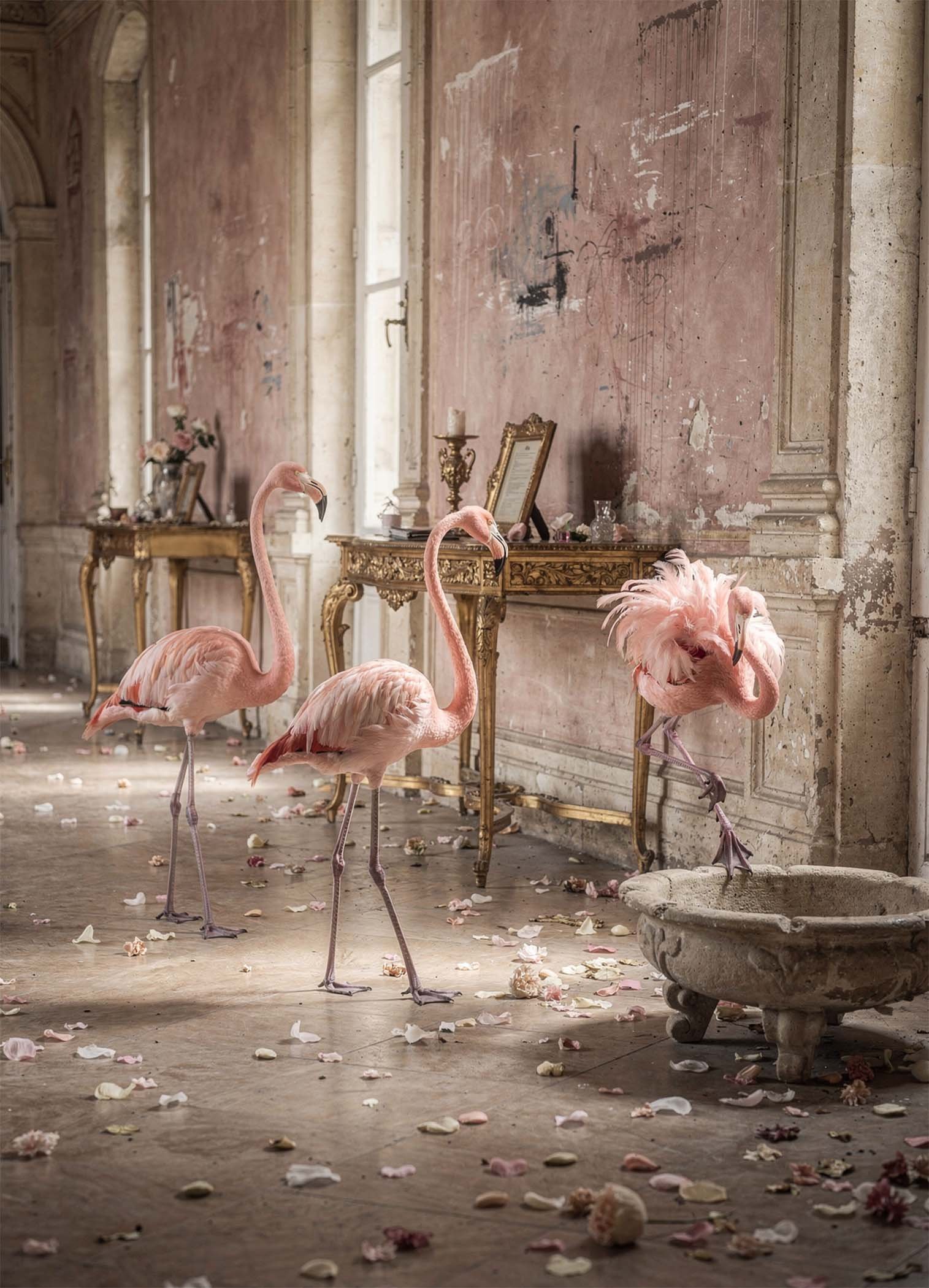 Affiche murale de flamants roses dans un intérieur élégant