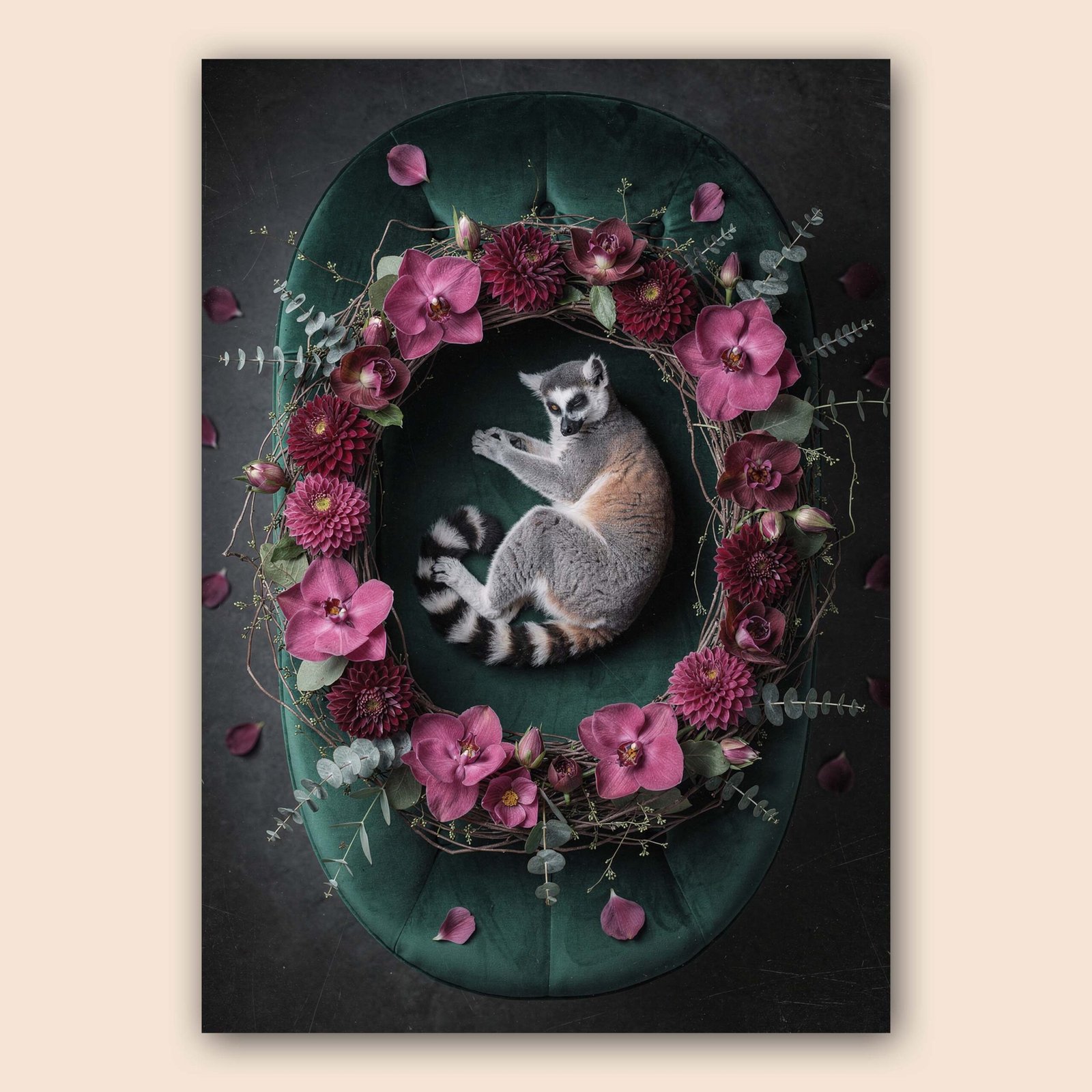 Affiche murale d'un lémurien entouré de fleurs