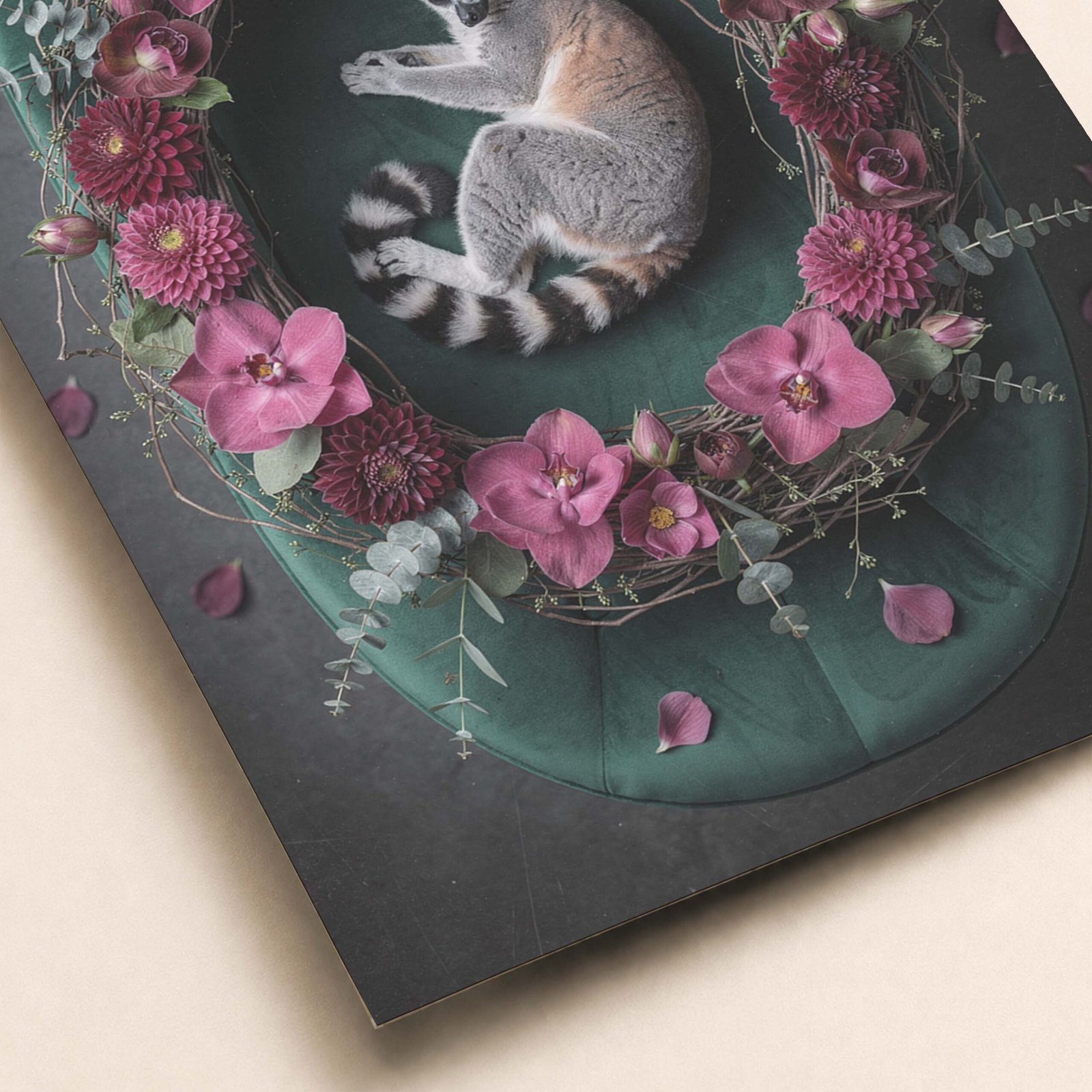 Détail de l'affiche lémurien entouré de fleurs