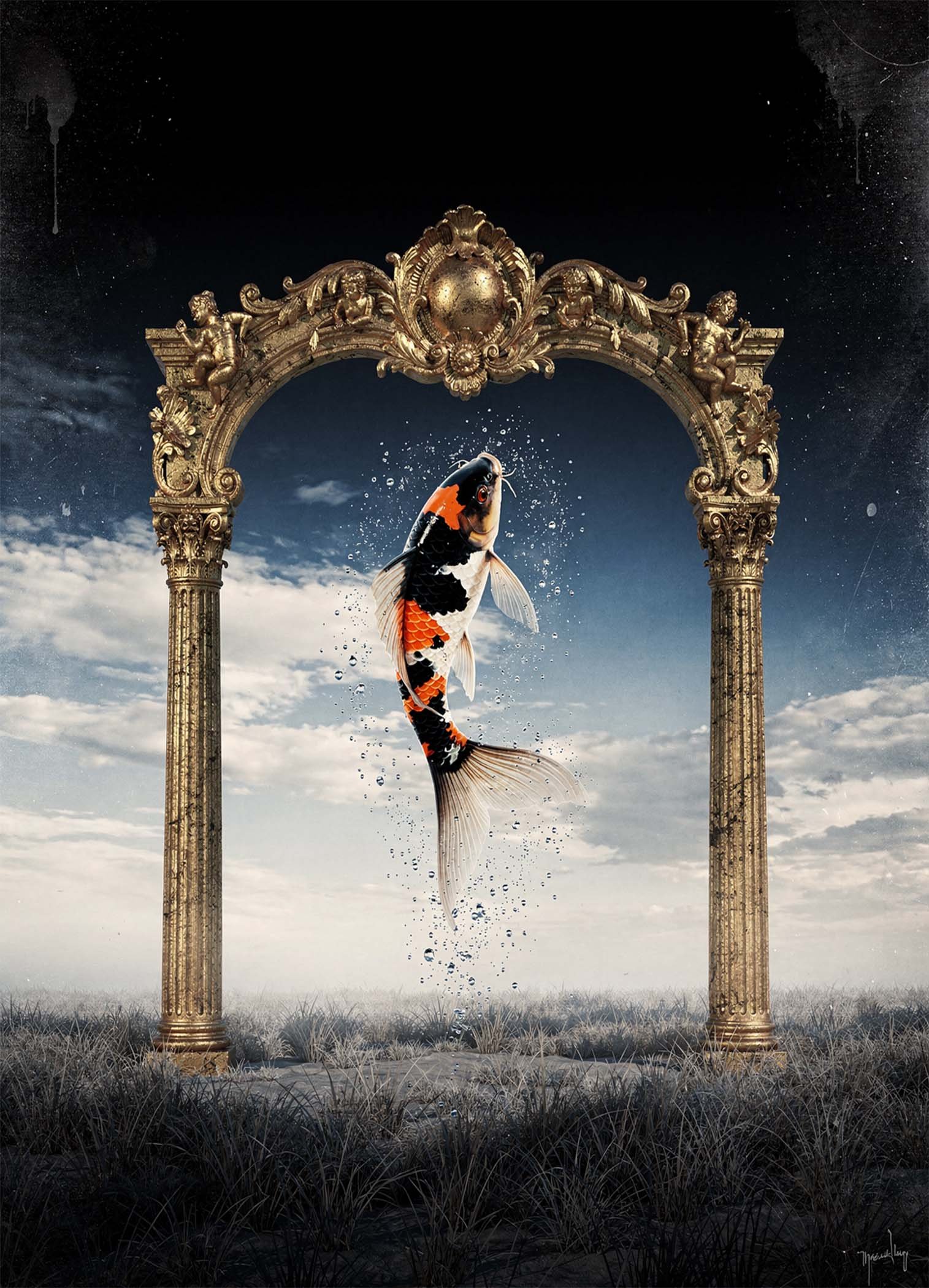 Affiche représentant un poisson koi dans un cadre doré