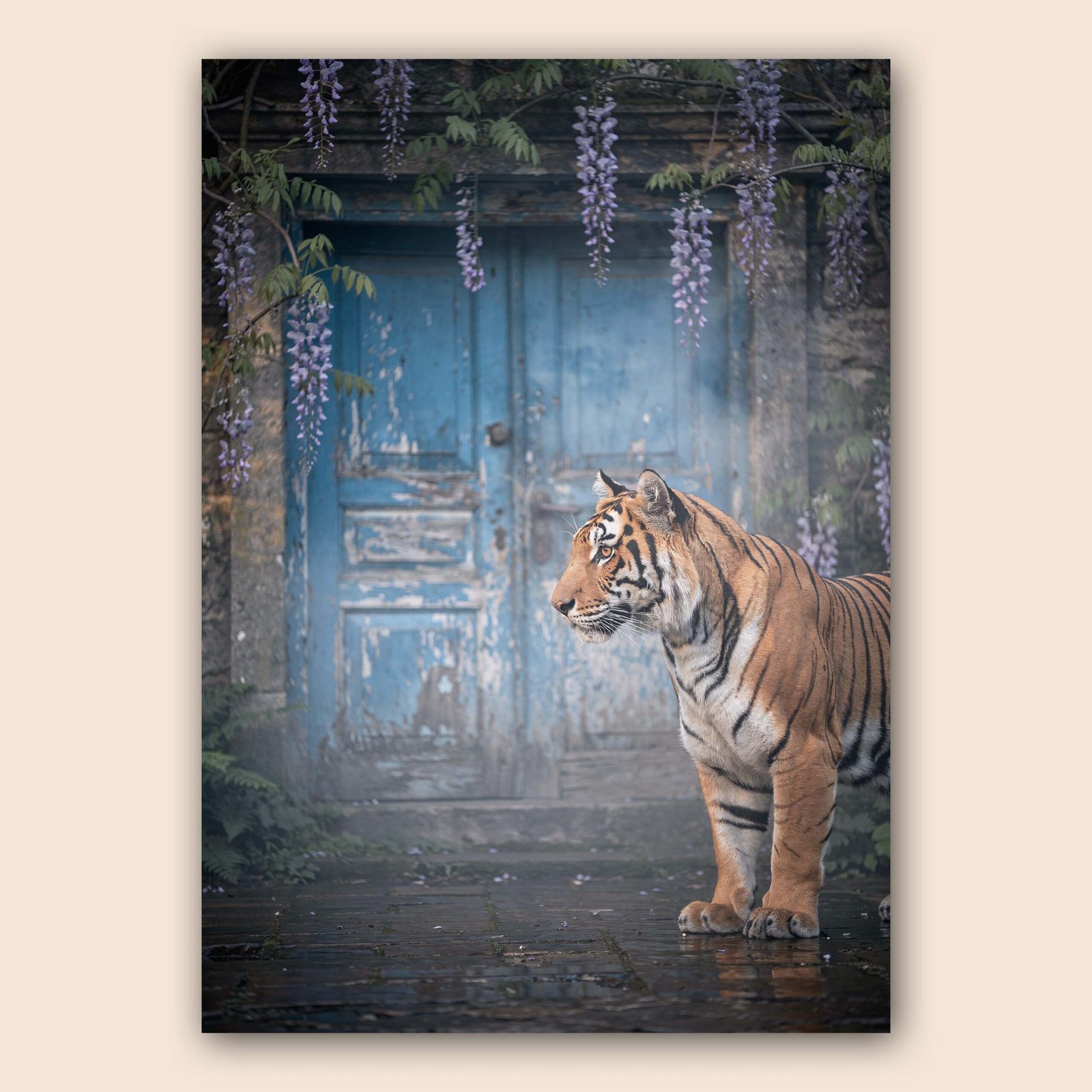 Affiche d'un tigre devant une porte bleue