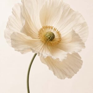 Affiche botanique d'une fleur blanche délicate sur fond clair