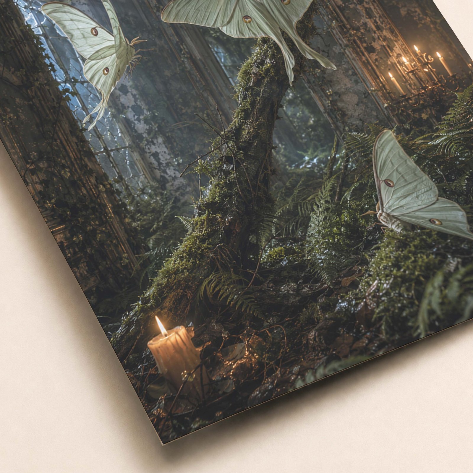 Détail des papillons et du décor botanique sombre